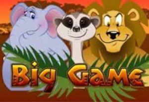 Big Game